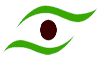 Eye Icon